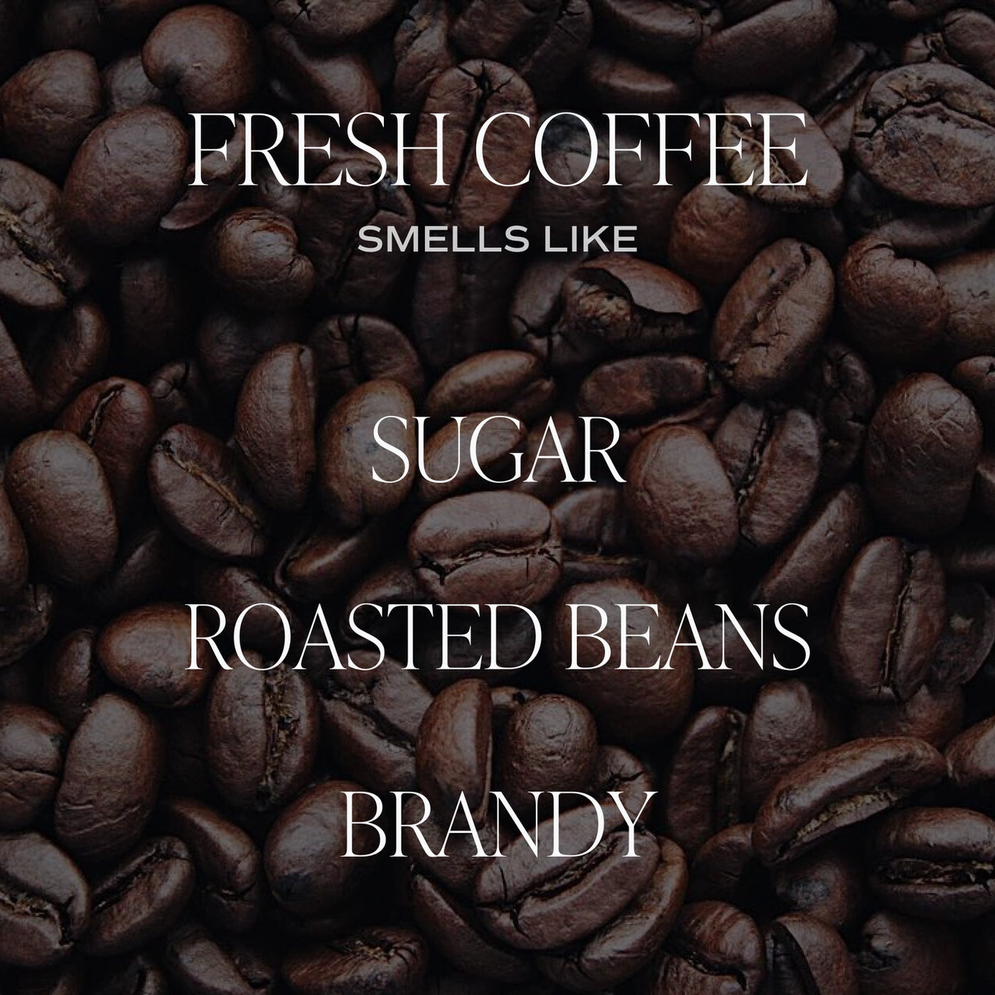 Fresh Coffee Soy Candle 9oz