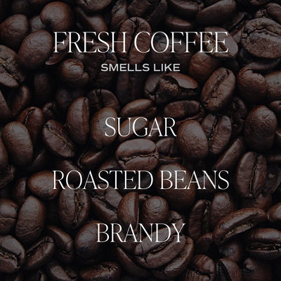 Fresh Coffee Soy Candle 9oz