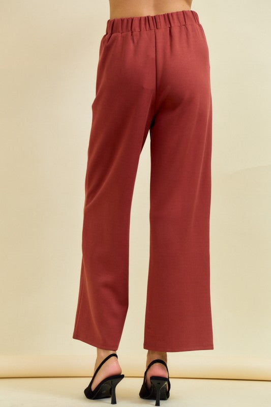 Terra Cotta Pintuck Pants