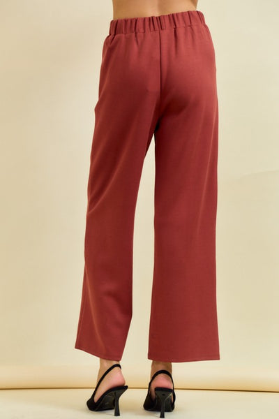 Terra Cotta Pintuck Pants