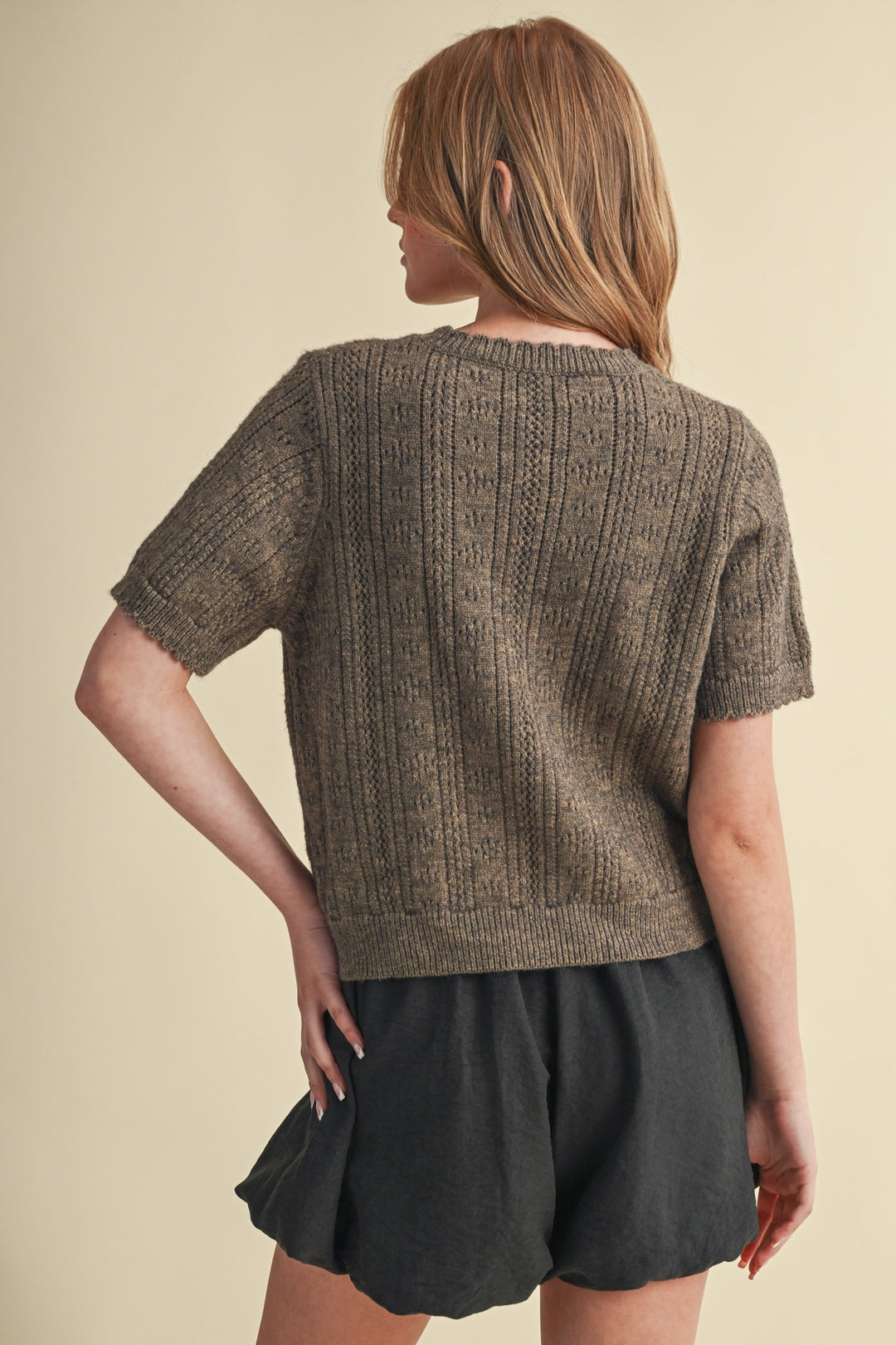 Smoky Brown Pointelle Short Sleeve Sweater
