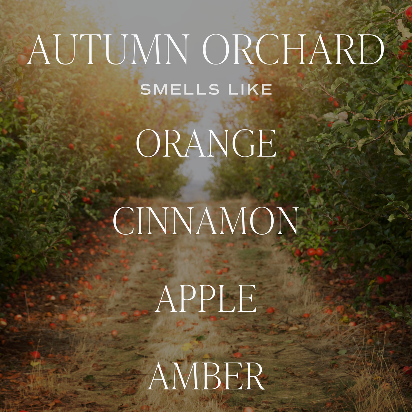 Autumn Orchard Gold Foil Soy Candle 9oz
