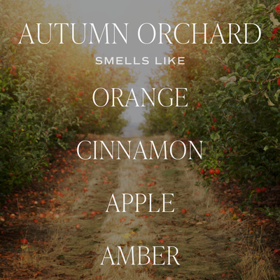 Autumn Orchard Gold Foil Soy Candle 9oz