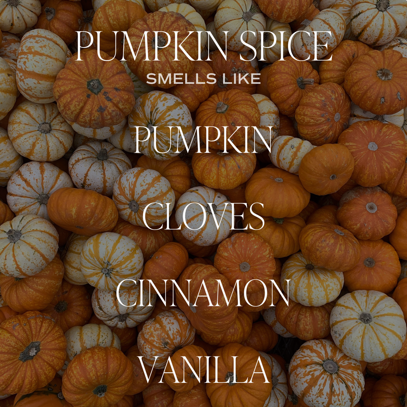 Pumpkin Spice Soy Candle 15oz