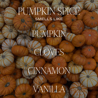 Pumpkin Spice Soy Candle 15oz