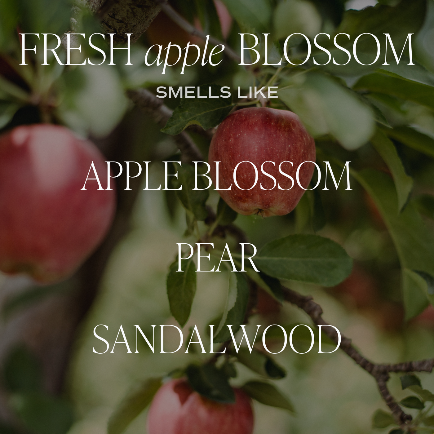 Fresh Apple Blossom Soy Candle 9oz