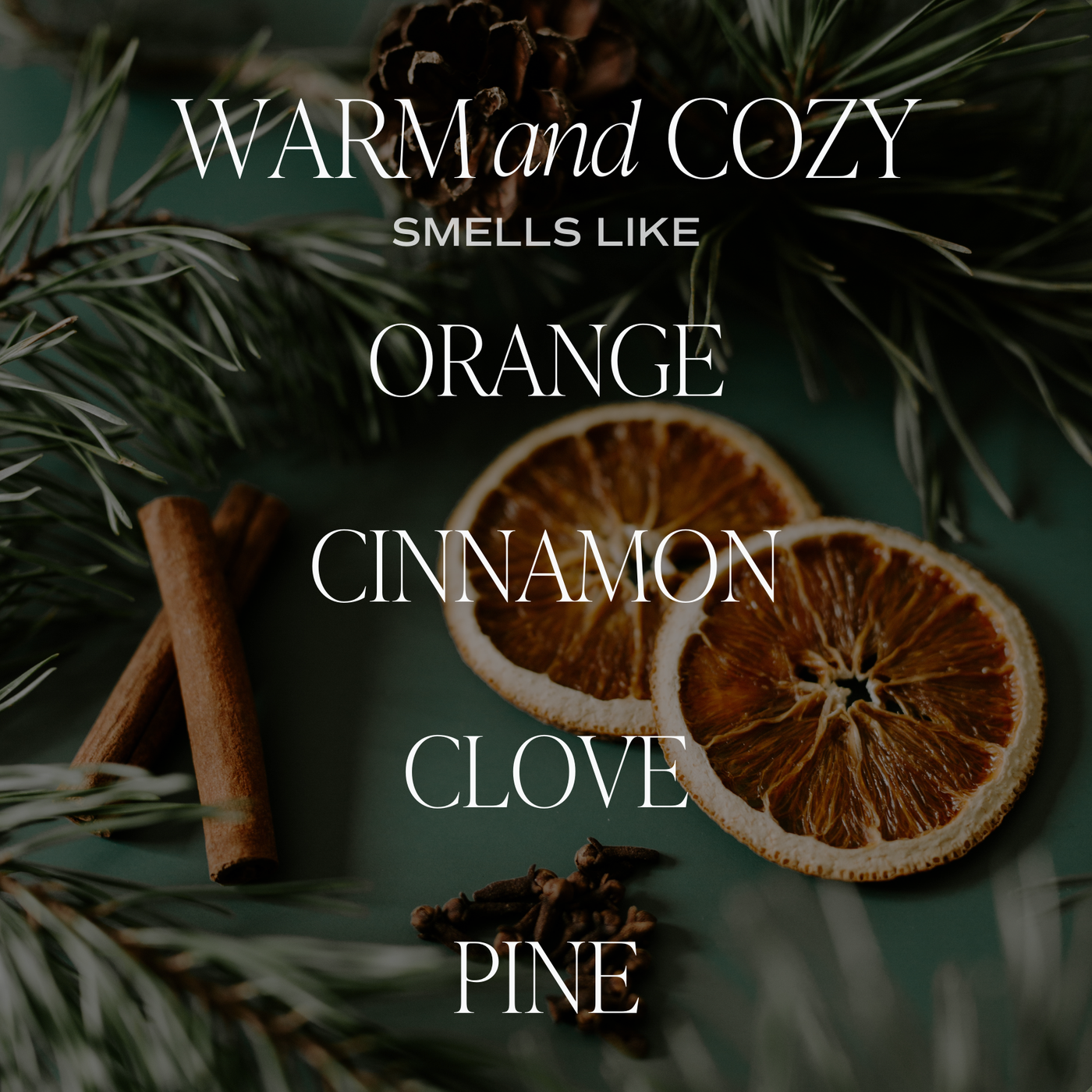Warm and Cozy Soy Candle 9oz